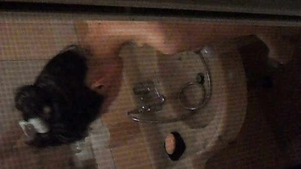 BBW المنزل فيديو سكس سكس محارم مترجم اخوان